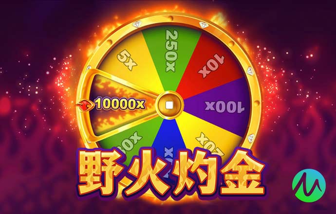 49澳门免费精准大全
